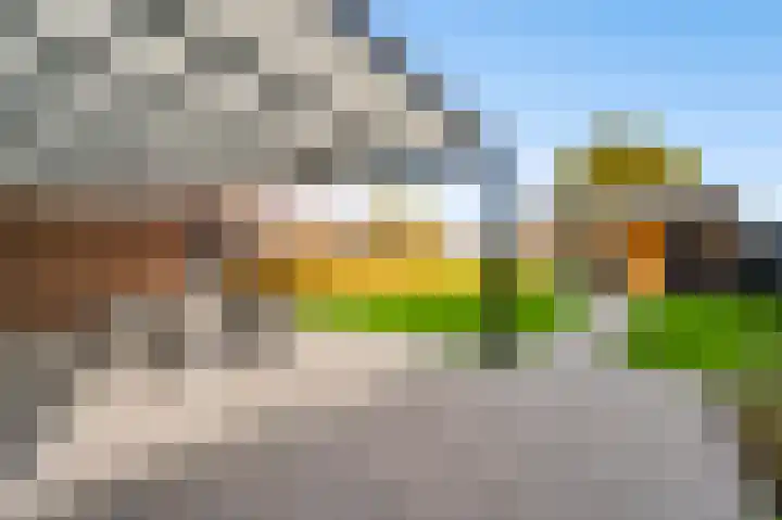 Molenweg 15 Buggenum thumbnail 34