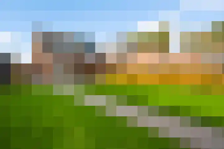 Molenweg 15 Buggenum thumbnail 37
