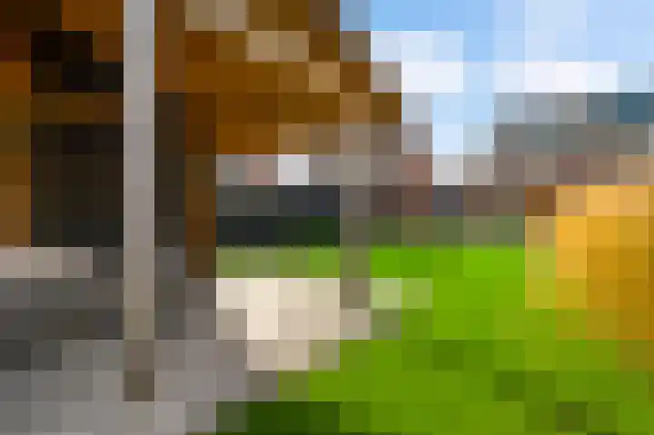 Molenweg 15 Buggenum thumbnail 38