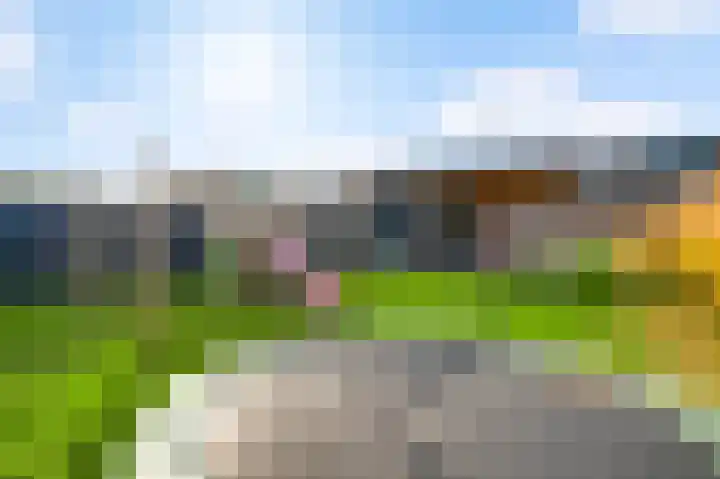 Molenweg 15 Buggenum thumbnail 40