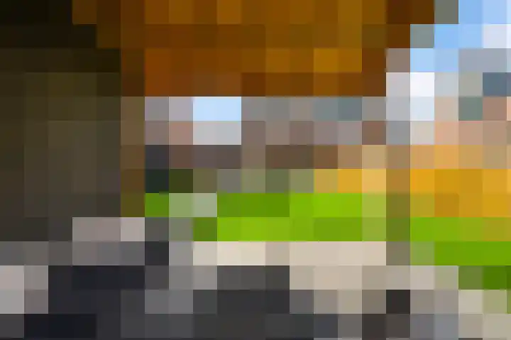 Molenweg 15 Buggenum thumbnail 41
