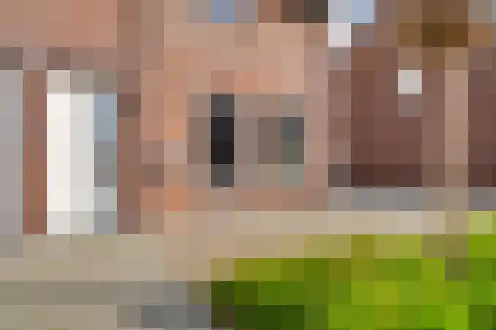 Molenweg 15 Buggenum thumbnail 5