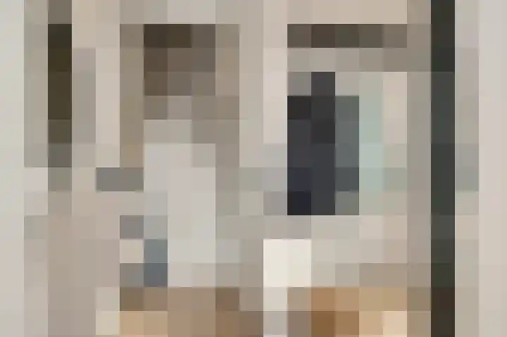Molenweg 15 Buggenum thumbnail 9