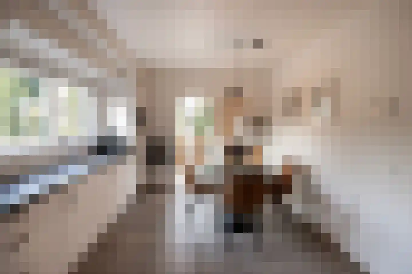 Molenweg 15 Elburg thumbnail 13