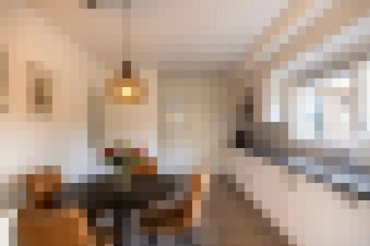 Molenweg 15 Elburg thumbnail 15