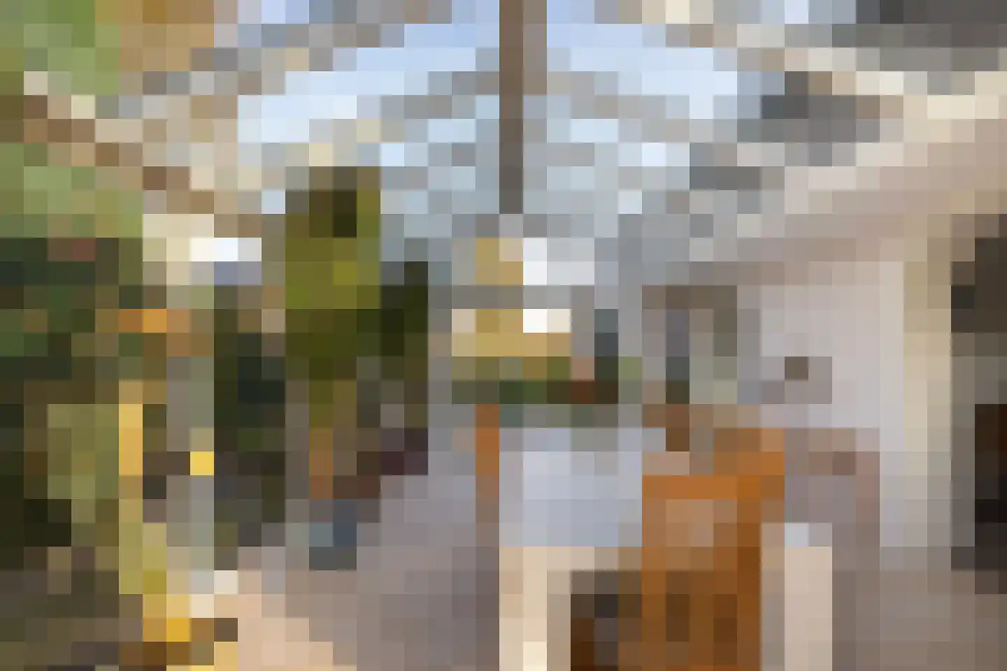 Molenweg 15 Elburg thumbnail 19