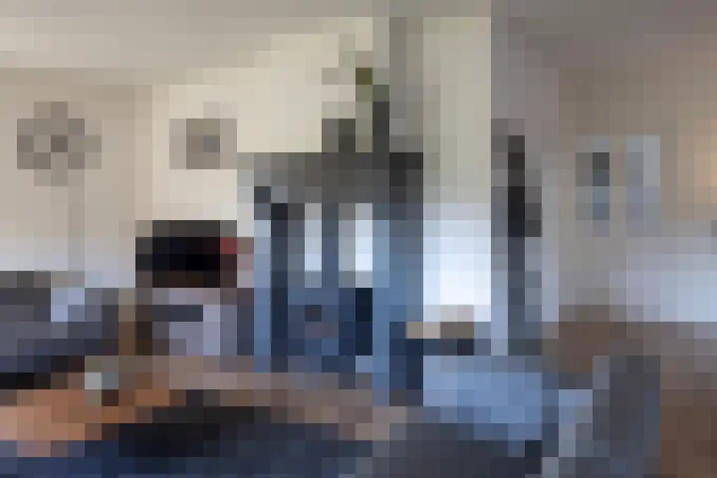 Molenweg 15 Elburg thumbnail 21