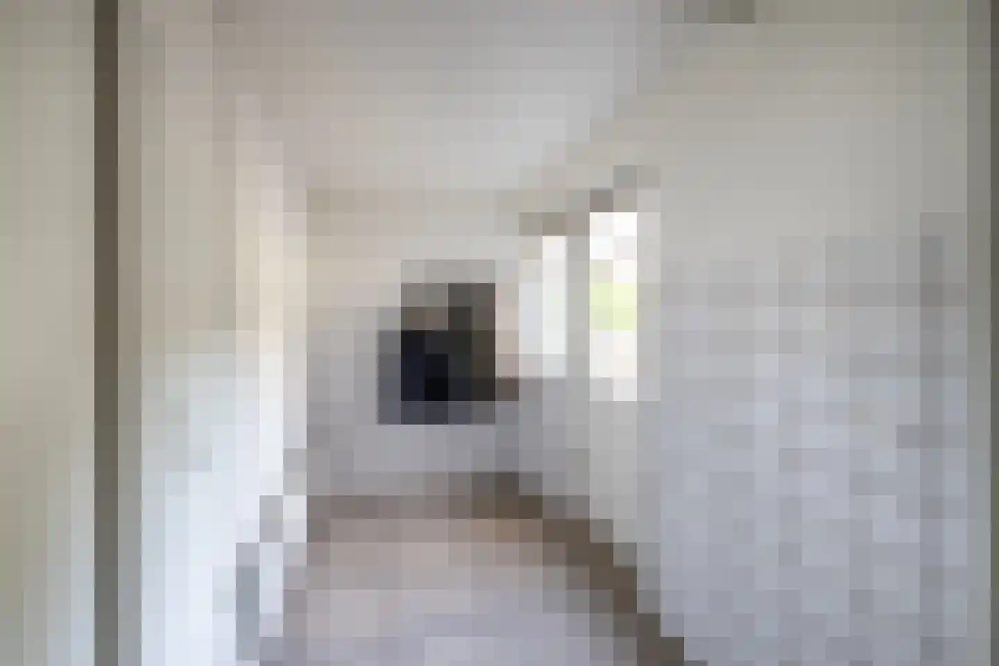 Molenweg 15 Elburg thumbnail 25
