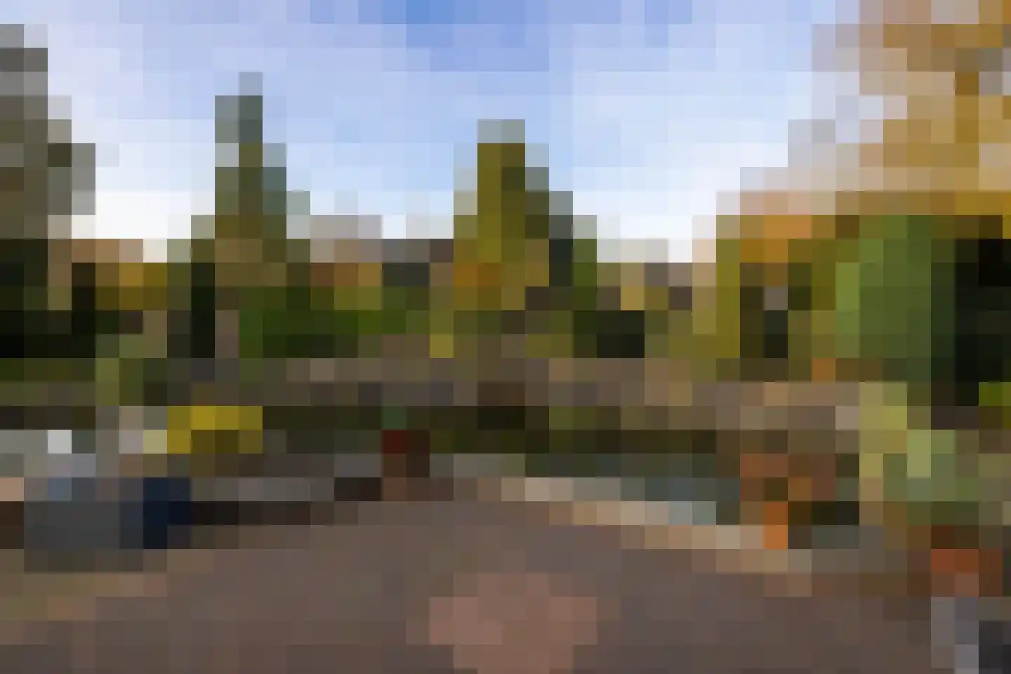 Molenweg 15 Elburg thumbnail 51