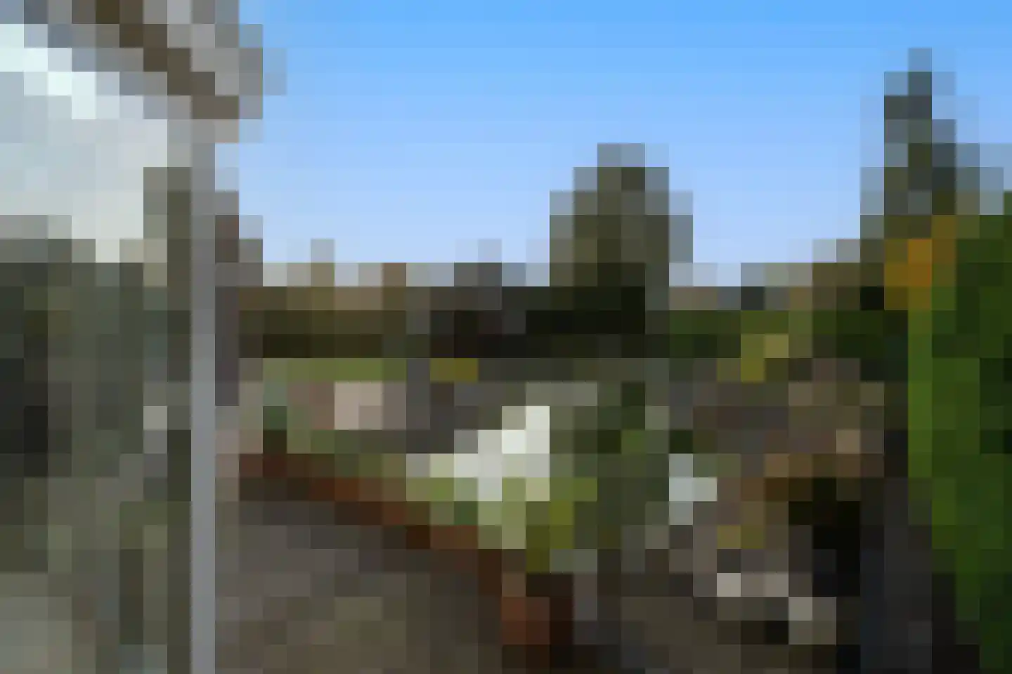Molenweg 15 Elburg thumbnail 52