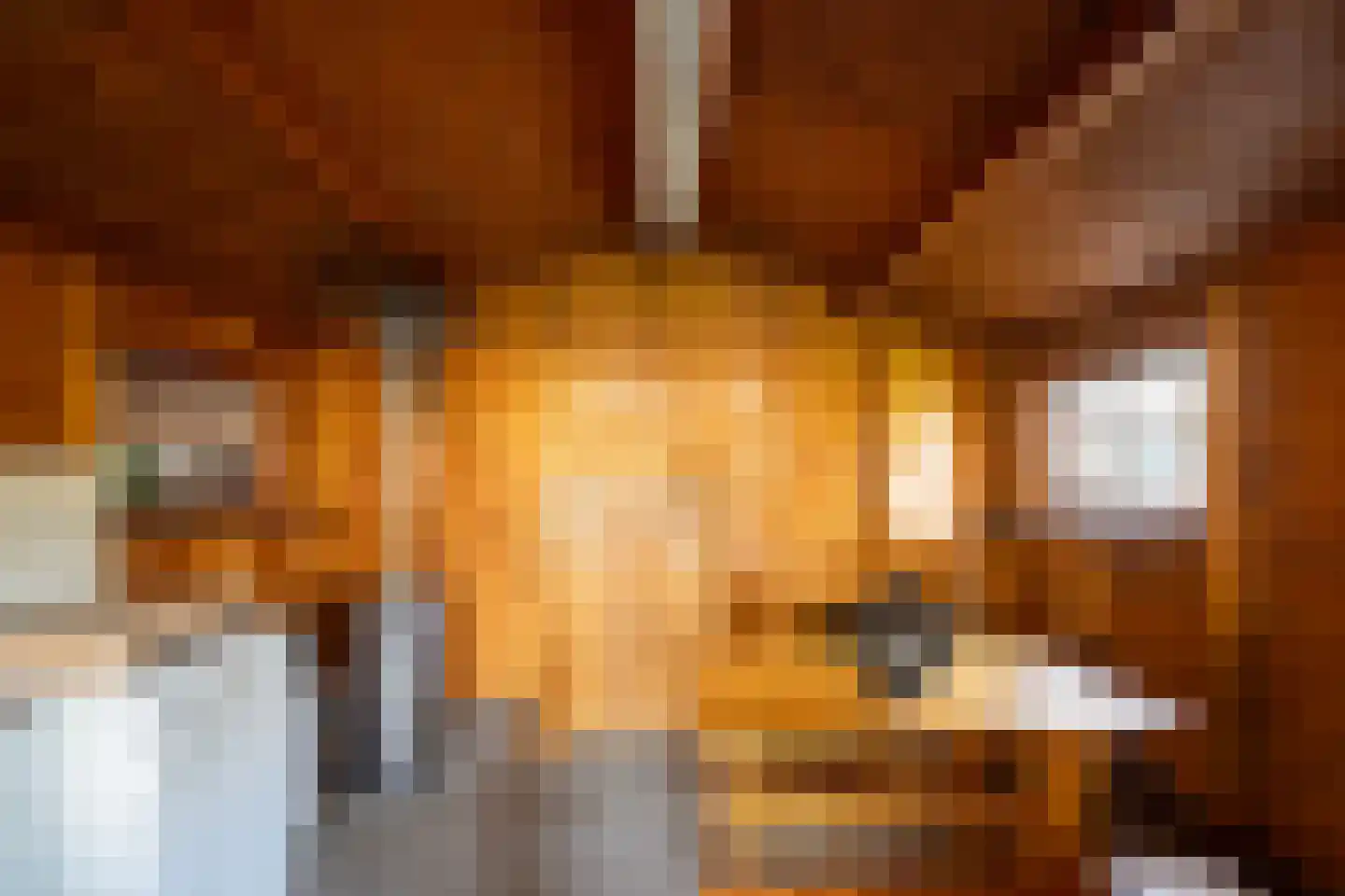 Molenweg 15 Elburg thumbnail 58