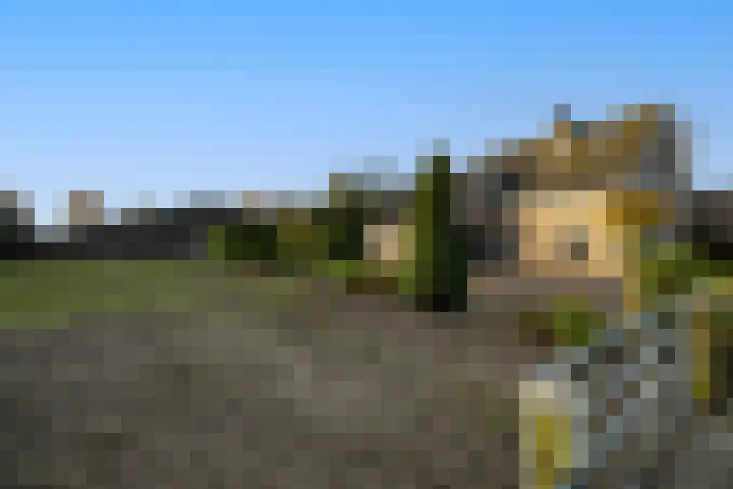 Molenweg 15 Elburg thumbnail 63