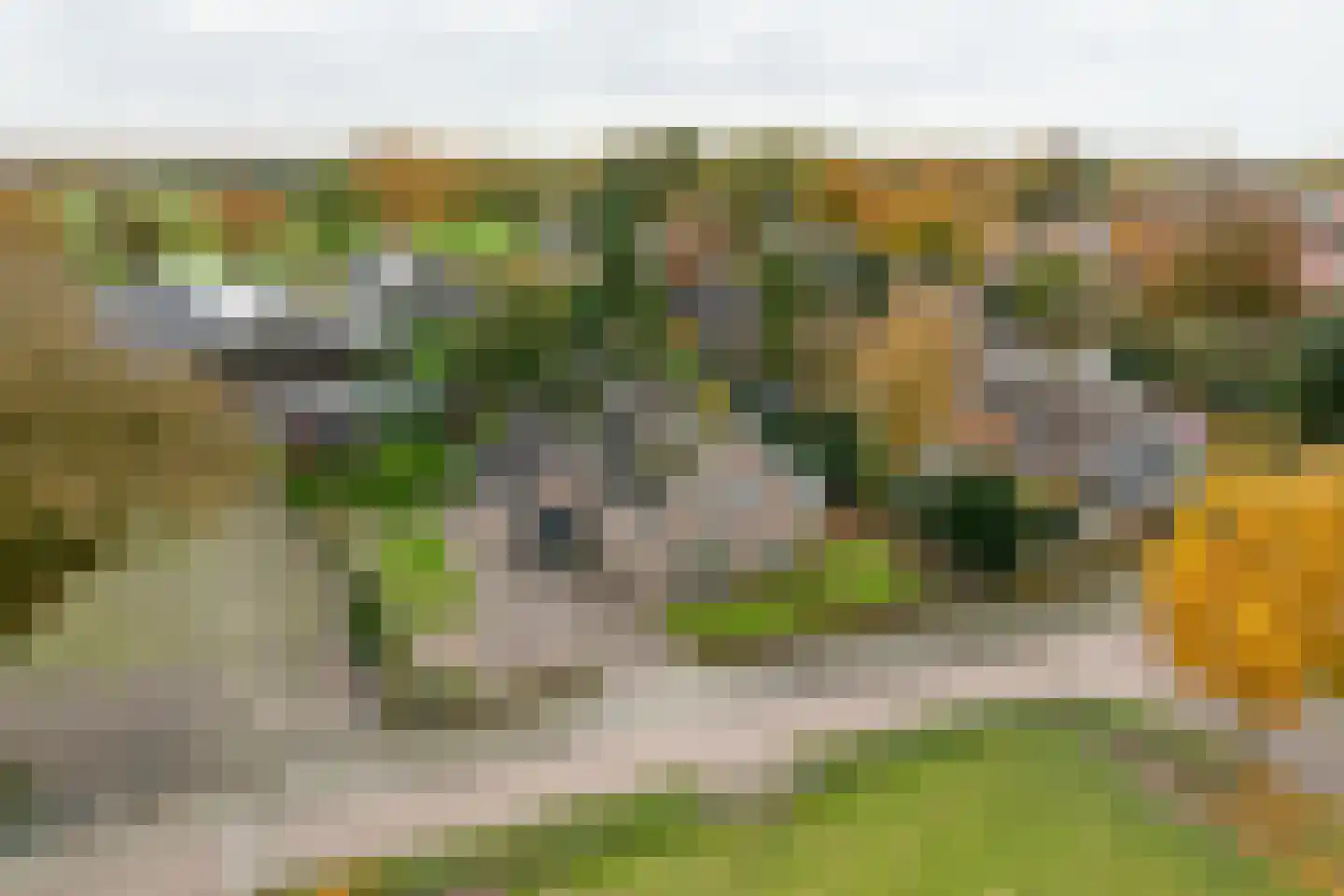 Molenweg 15 Elburg thumbnail 66