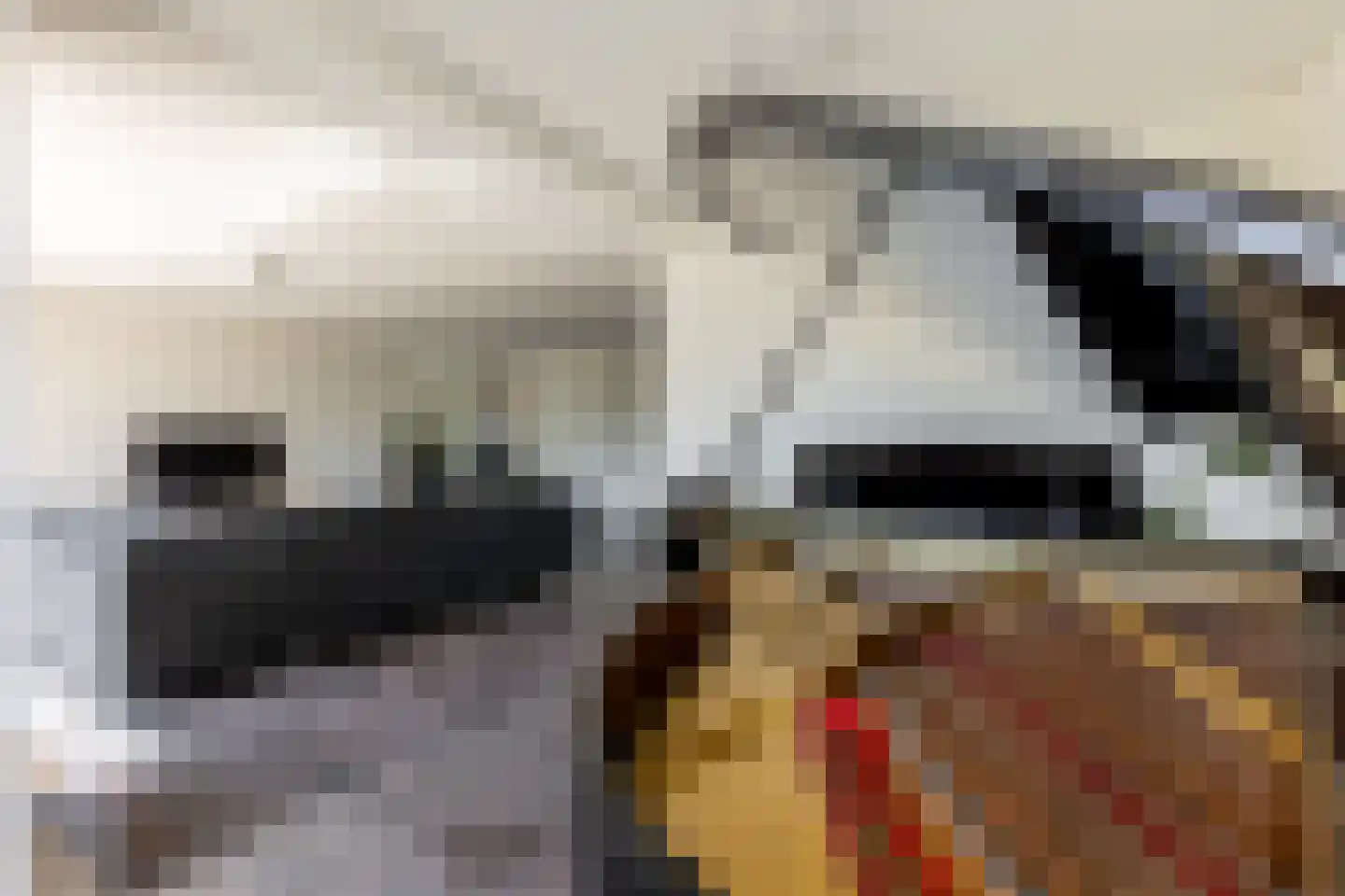 Molenweg 15 Oostvoorne thumbnail 10