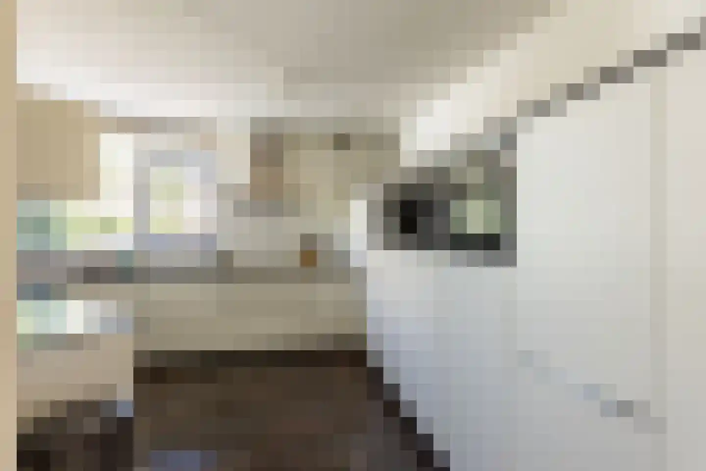 Molenweg 15 Oostvoorne thumbnail 16