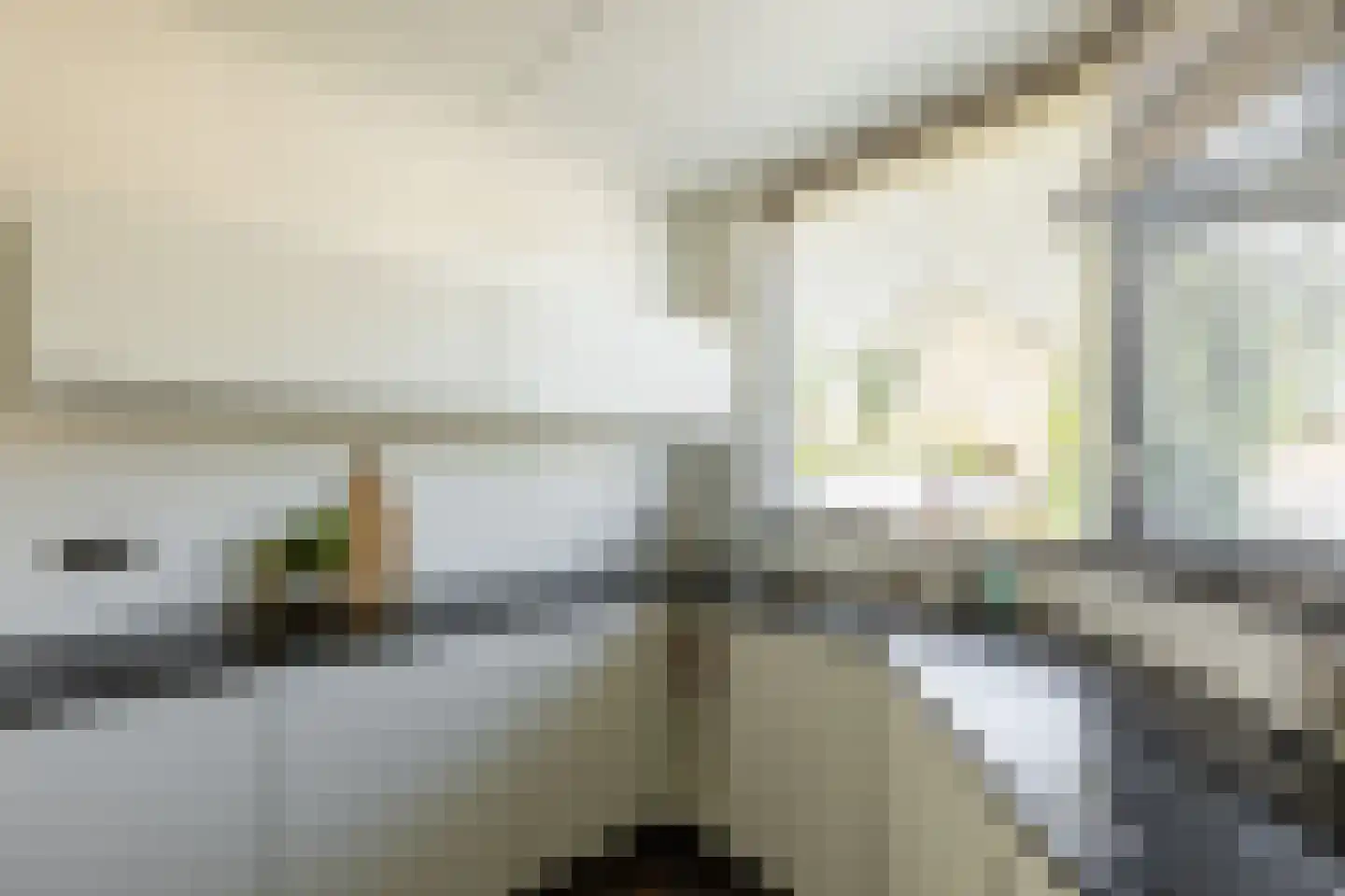Molenweg 15 Oostvoorne thumbnail 18
