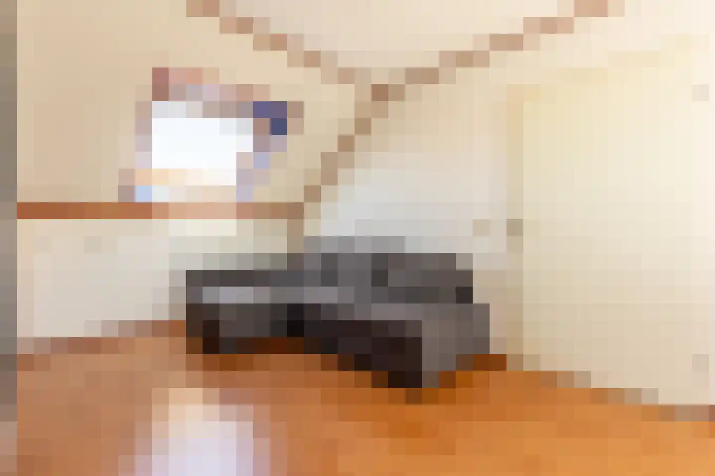 Molenweg 15 Oostvoorne thumbnail 35