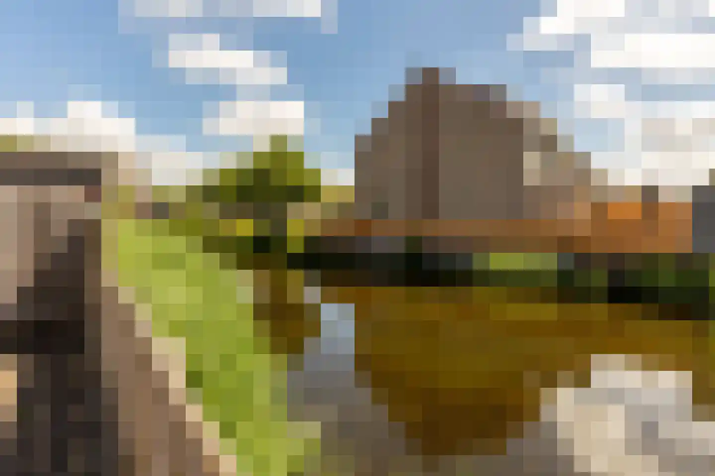 Molenweg 15 Oostvoorne thumbnail 40