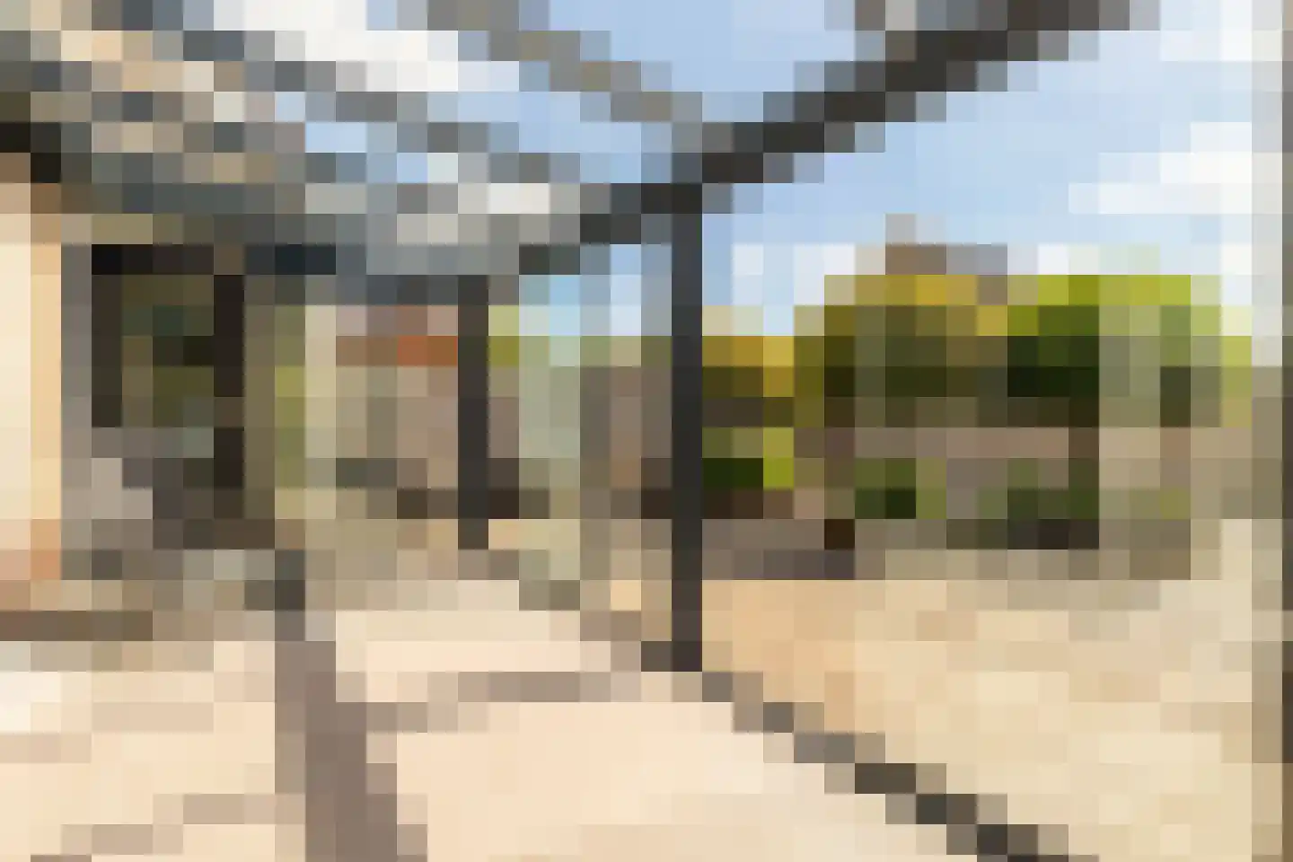 Molenweg 15 Oostvoorne thumbnail 42