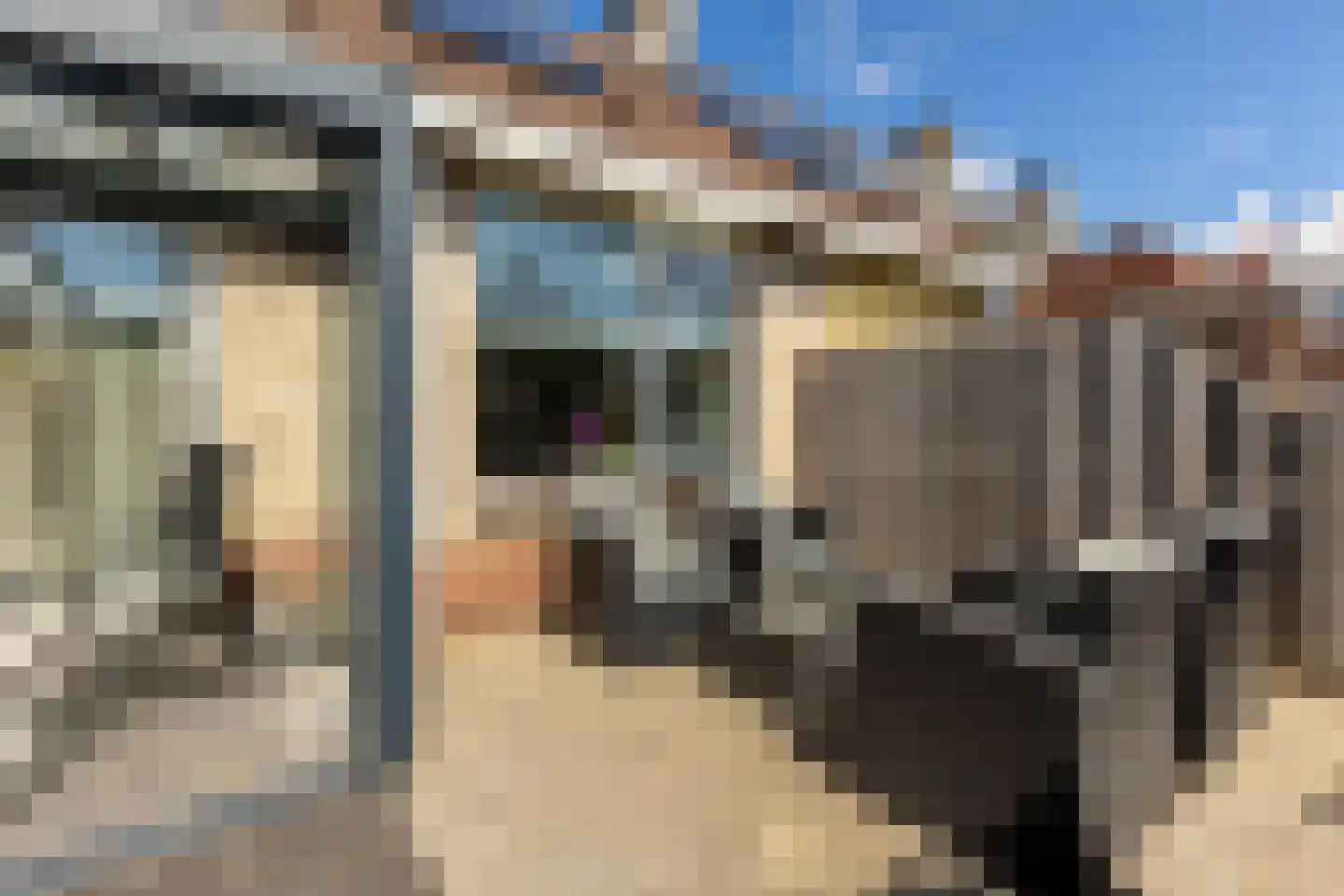 Molenweg 15 Oostvoorne thumbnail 43