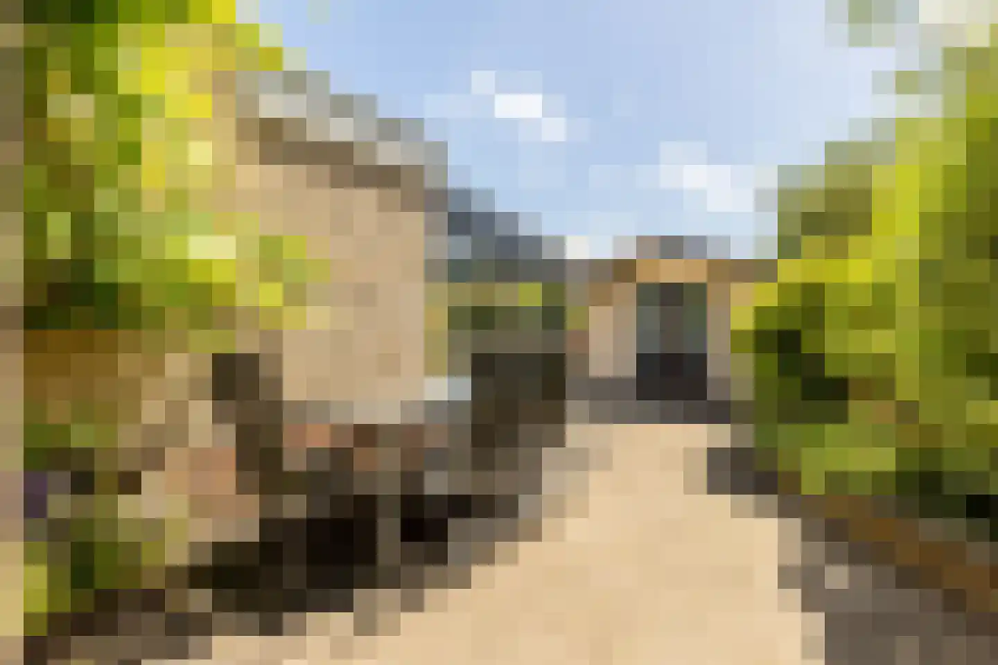 Molenweg 15 Oostvoorne thumbnail 46