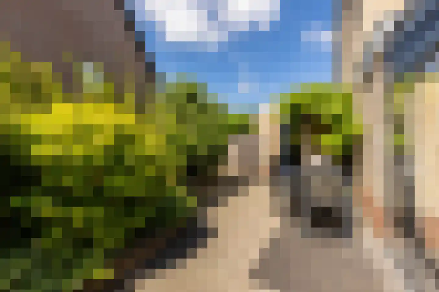 Molenweg 15 Oostvoorne thumbnail 48