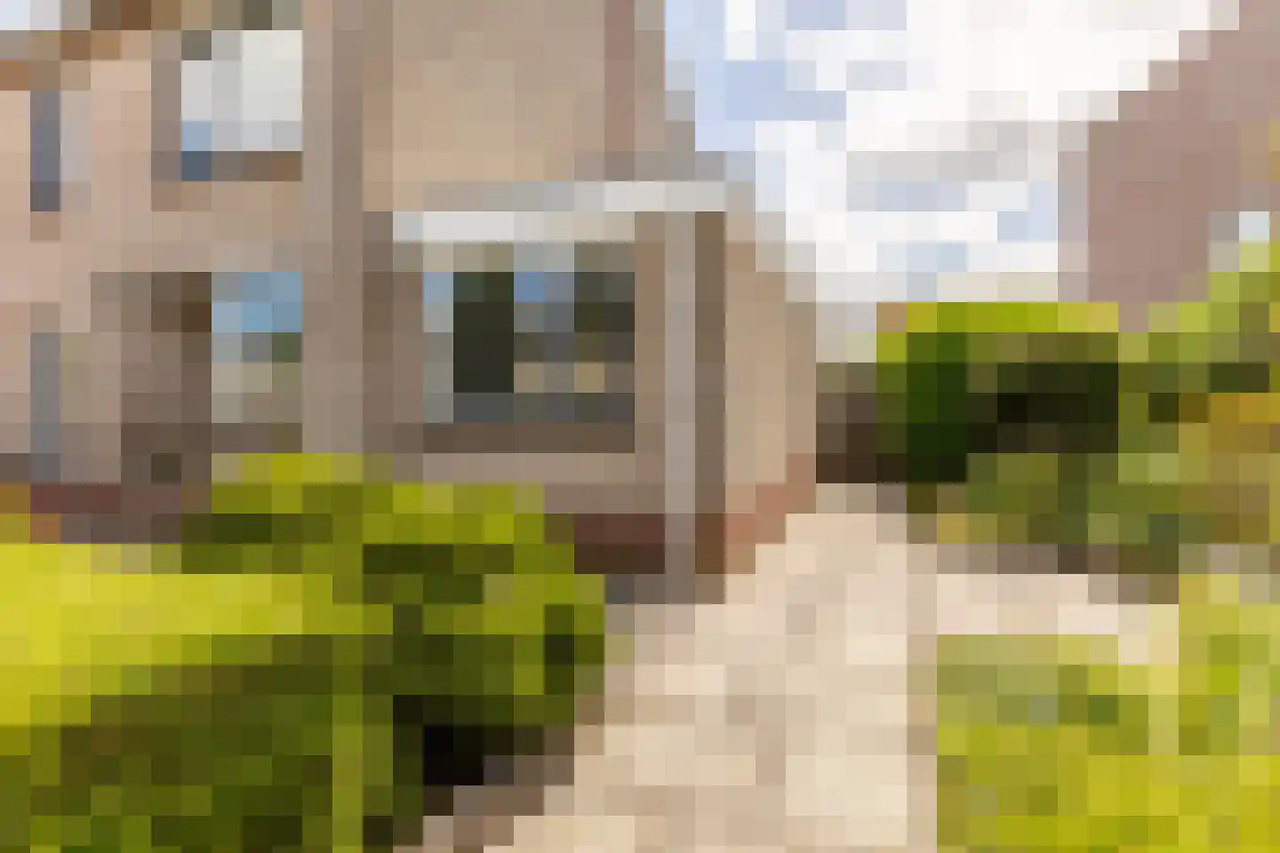 Molenweg 15 Oostvoorne thumbnail 5