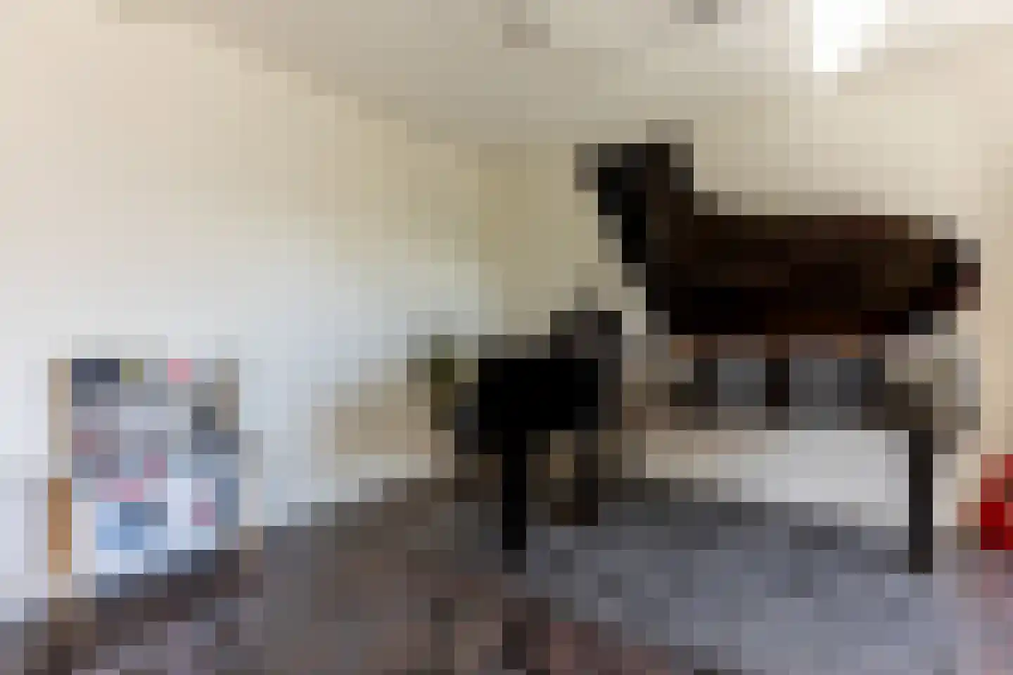 Molenweg 15 Oostvoorne thumbnail 9