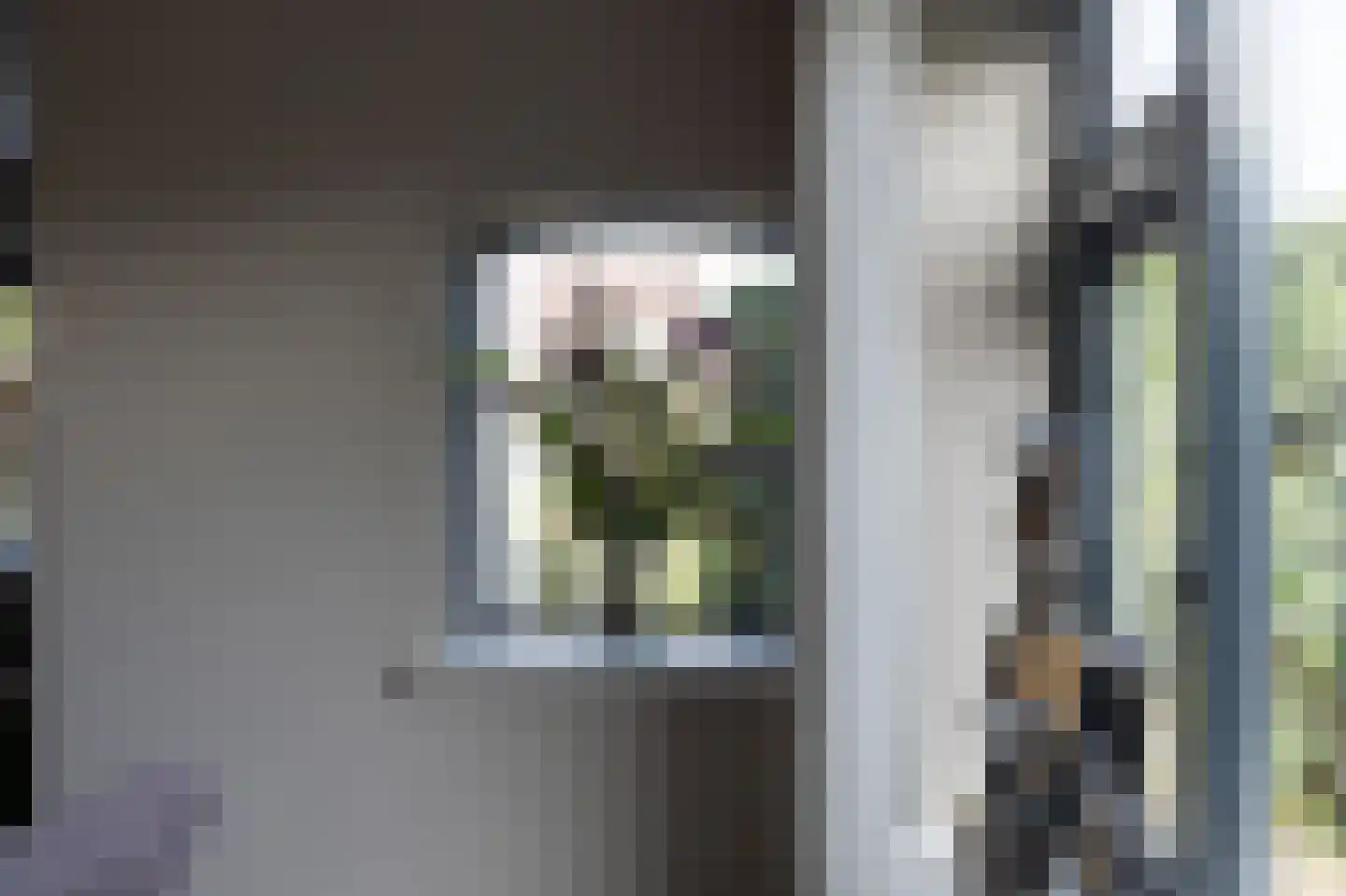 Molenweg 15 Ouddorp thumbnail 10
