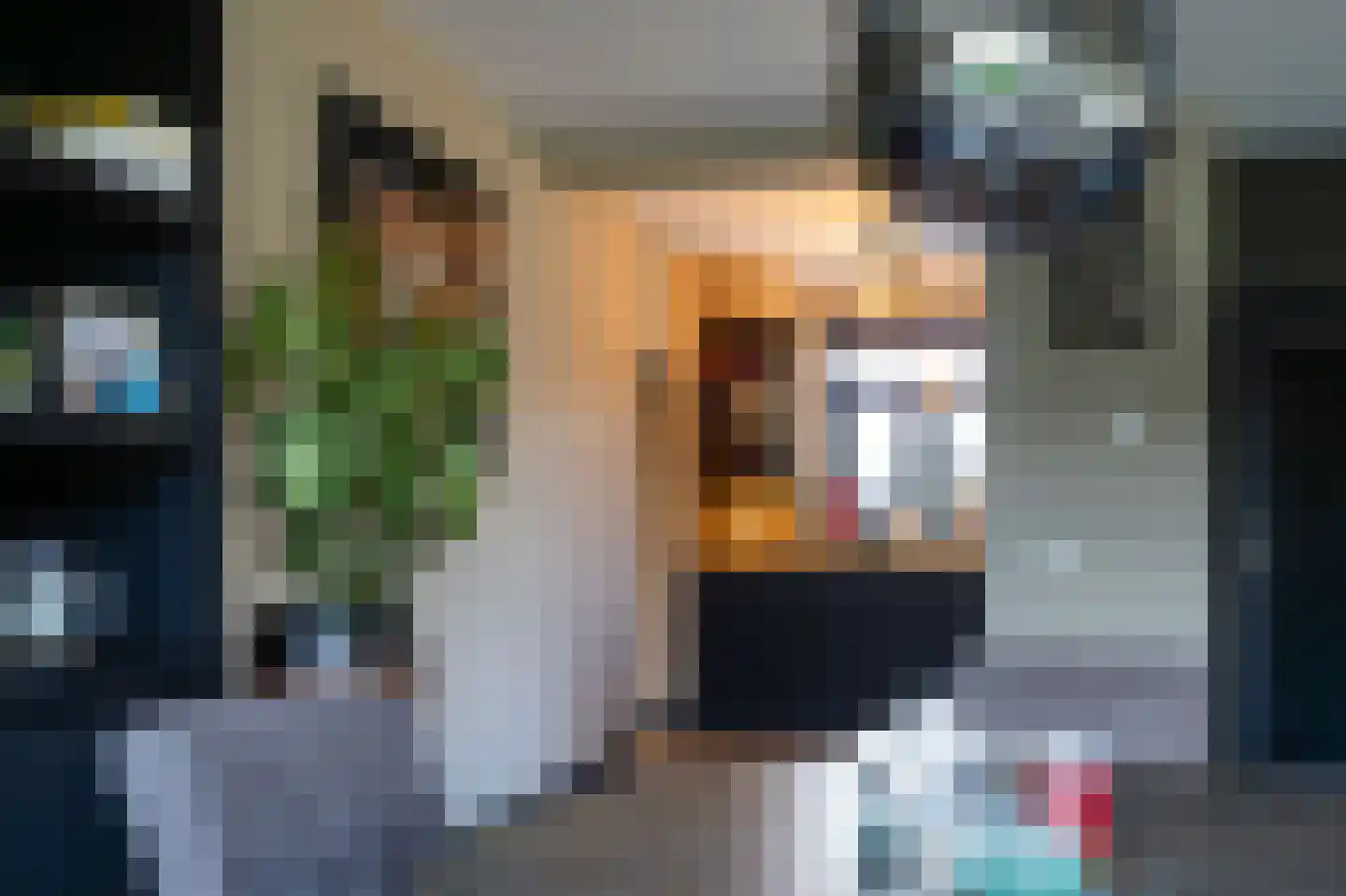 Molenweg 15 Ouddorp thumbnail 17