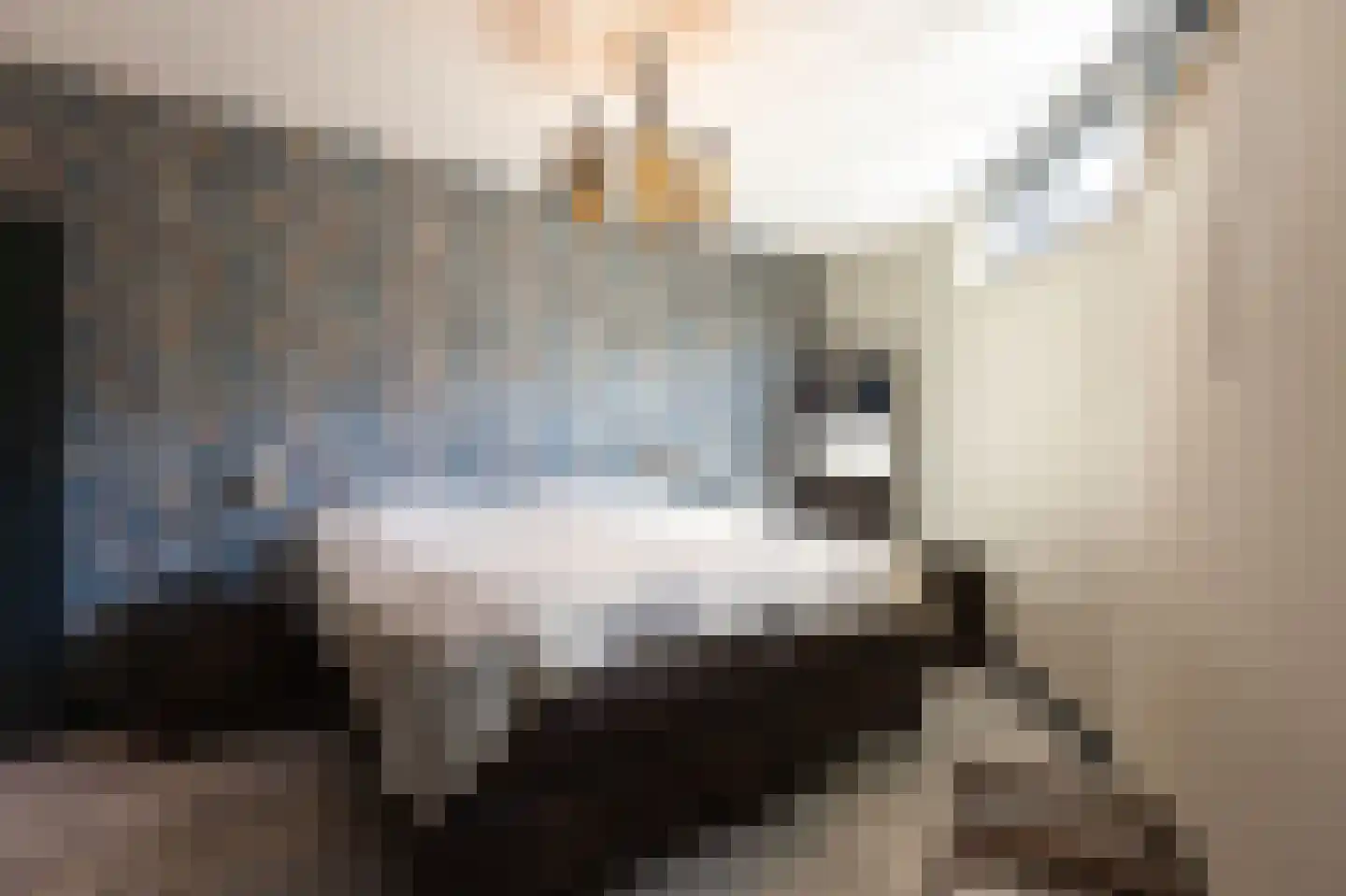 Molenweg 15 Ouddorp thumbnail 25