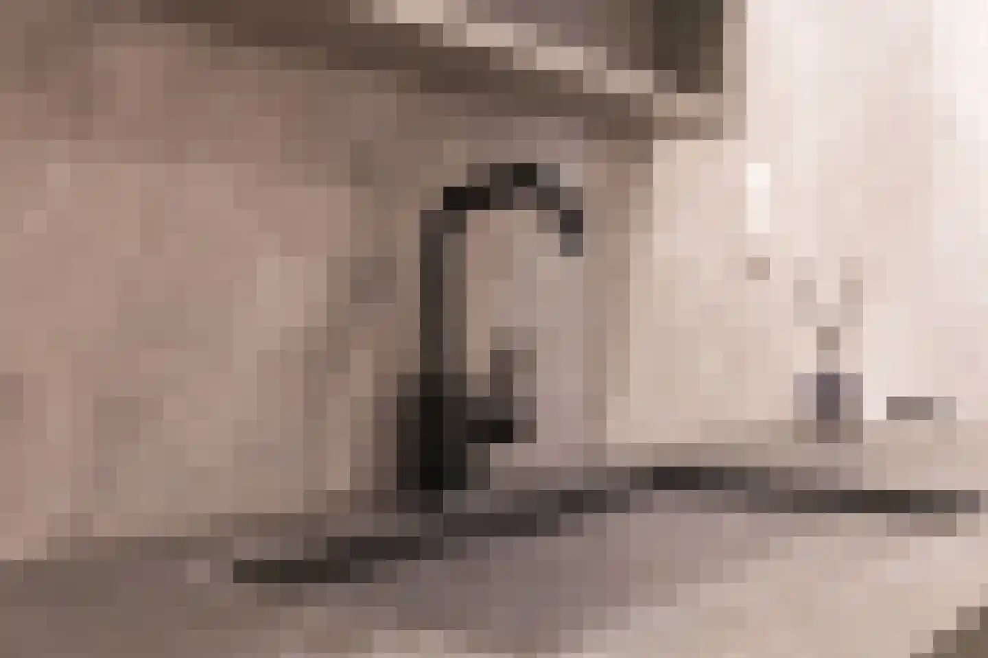 Molenweg 15 Ouddorp thumbnail 31