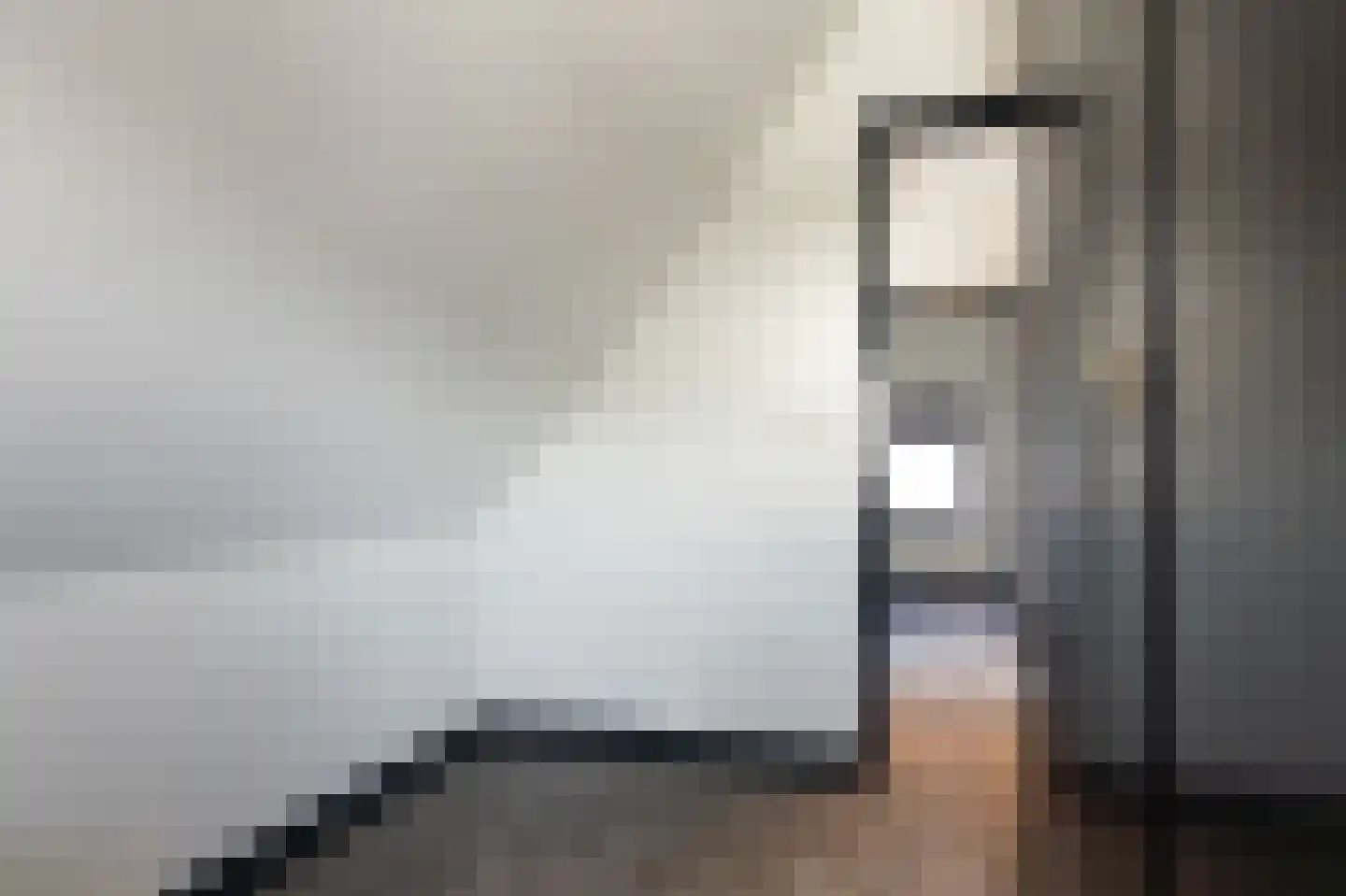 Molenweg 15 Ouddorp thumbnail 39