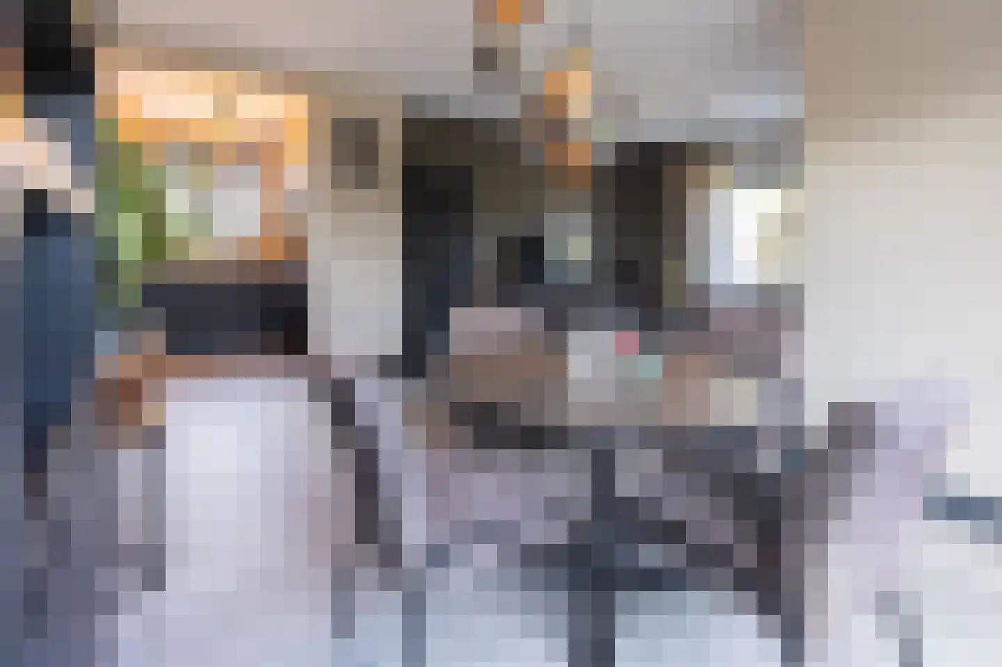 Molenweg 15 Ouddorp thumbnail 5