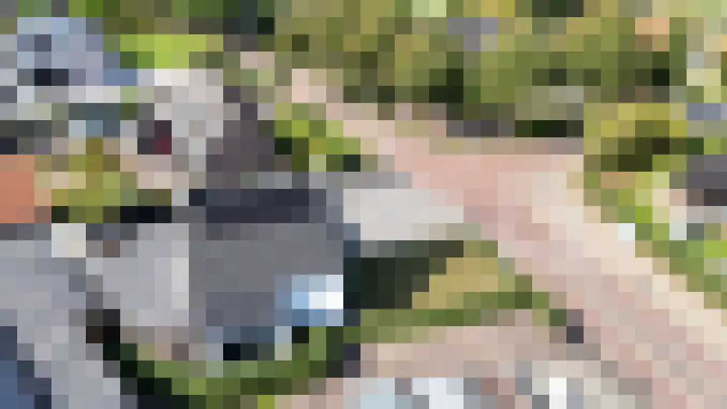 Molenweg 15 Ouddorp thumbnail 58
