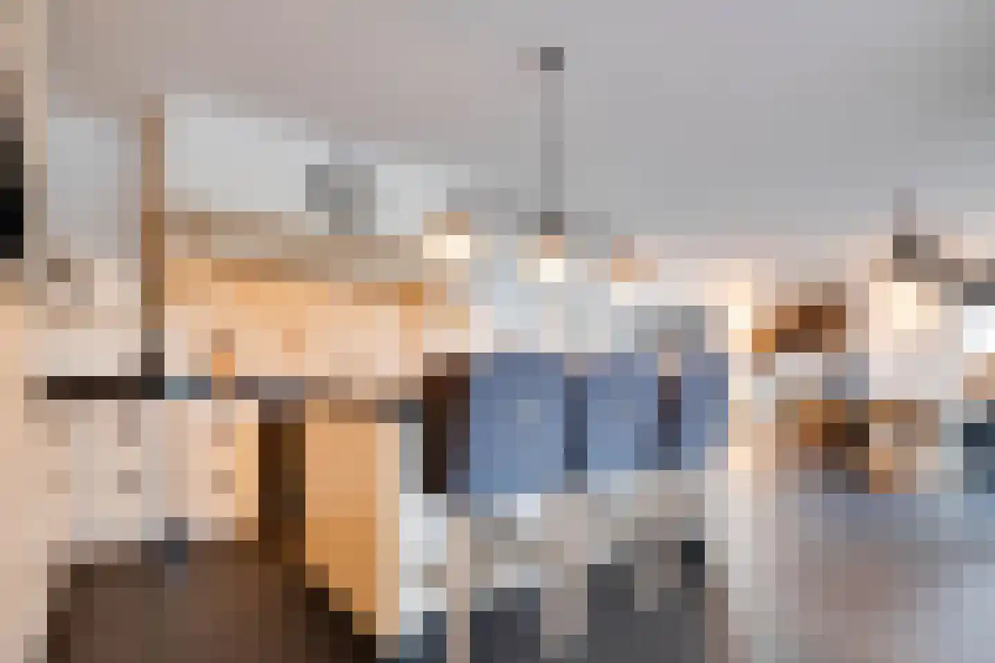 Molenweg 15 Oude-Tonge thumbnail 11