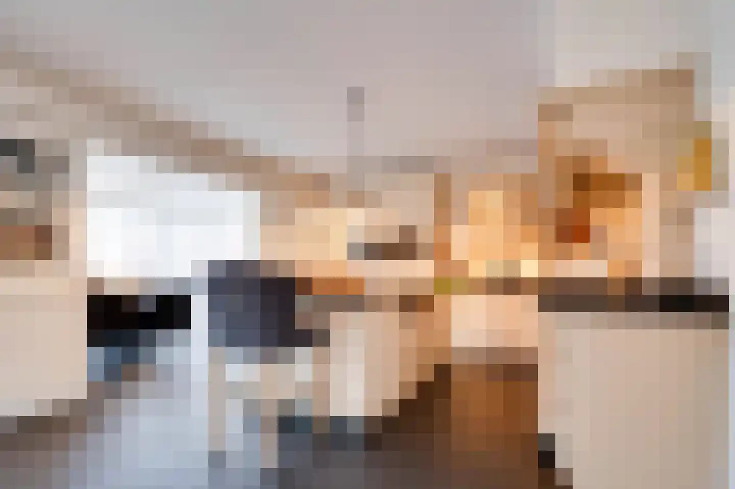 Molenweg 15 Oude-Tonge thumbnail 12