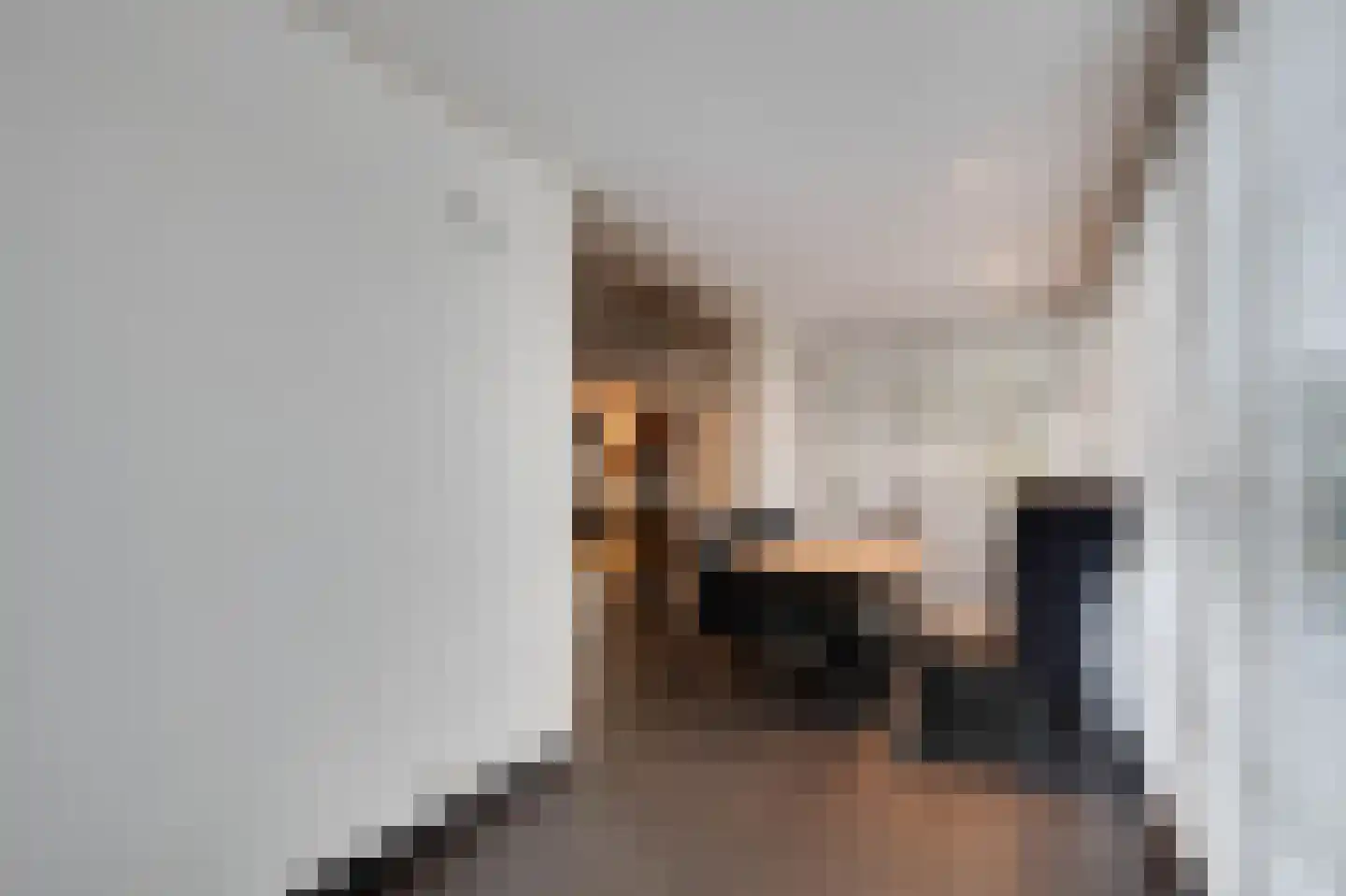 Molenweg 15 Oude-Tonge thumbnail 13