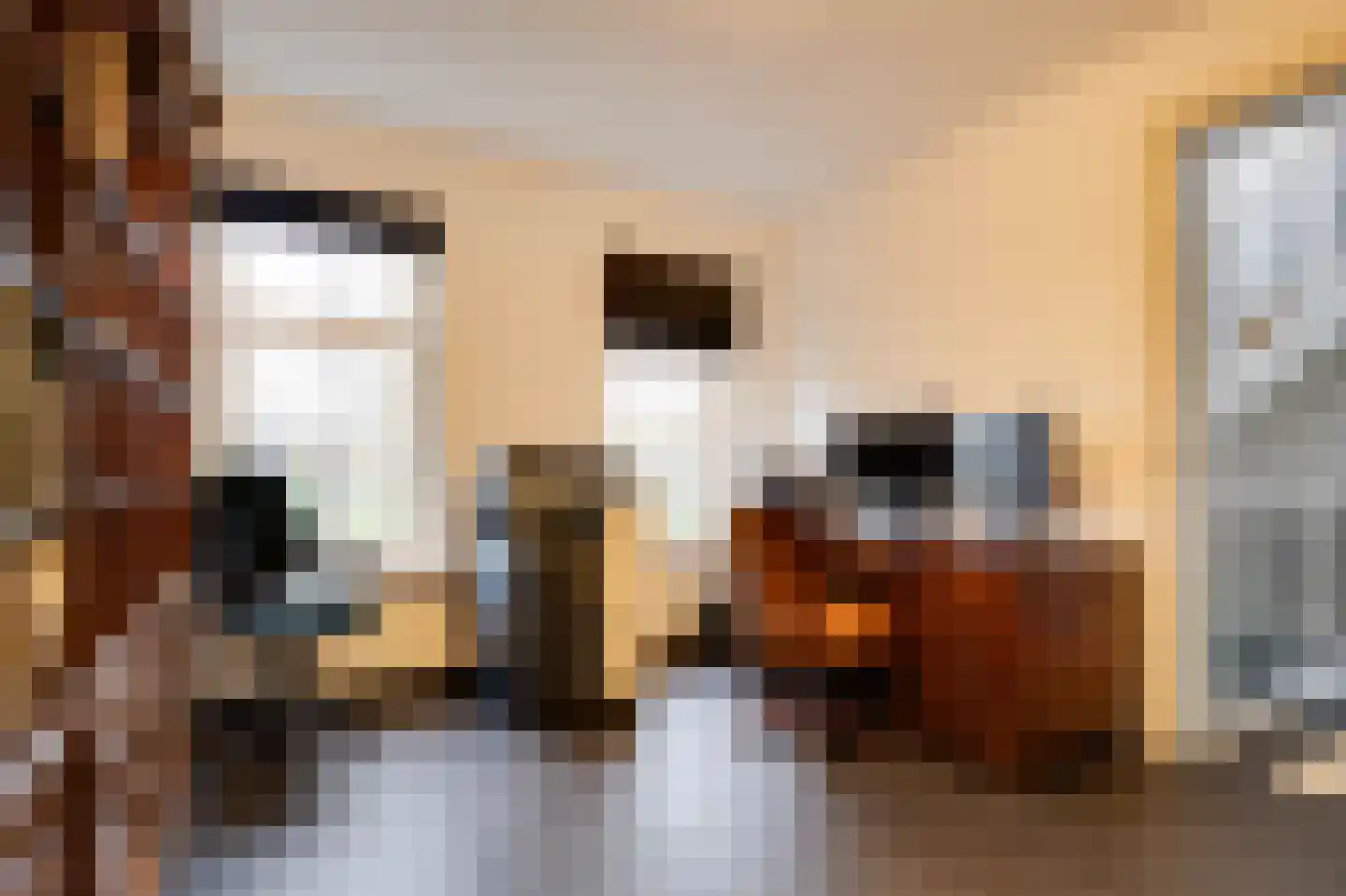 Molenweg 15 Oude-Tonge thumbnail 14