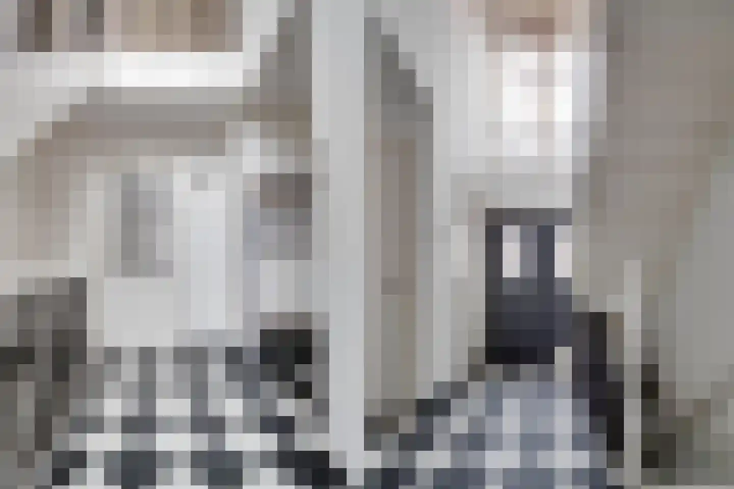 Molenweg 15 Oude-Tonge thumbnail 16