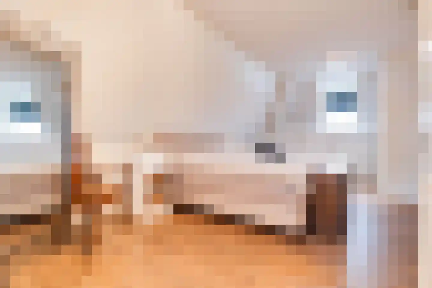 Molenweg 15 Oude-Tonge thumbnail 20
