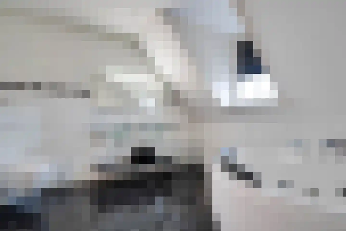 Molenweg 15 Oude-Tonge thumbnail 21