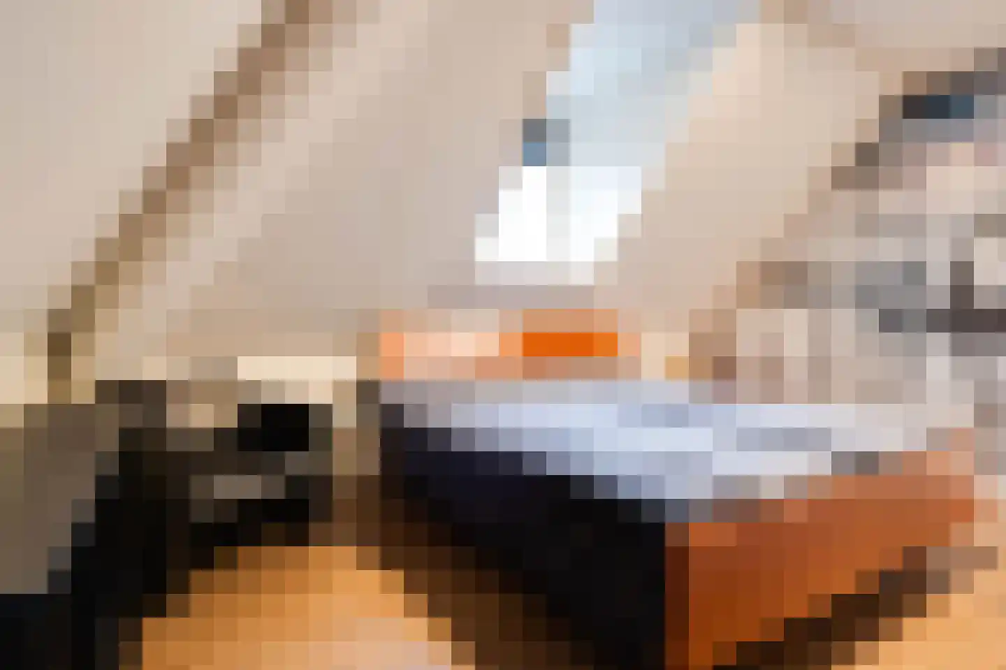 Molenweg 15 Oude-Tonge thumbnail 23