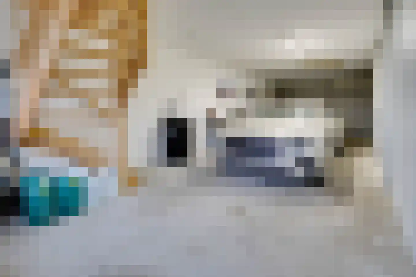 Molenweg 15 Oude-Tonge thumbnail 27