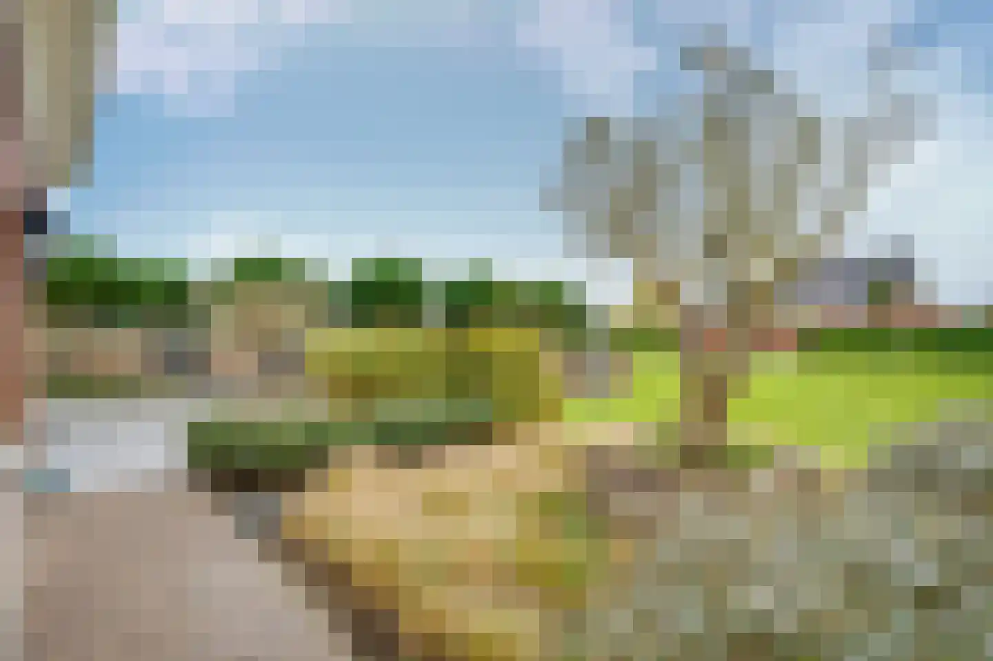 Molenweg 15 Oude-Tonge thumbnail 30