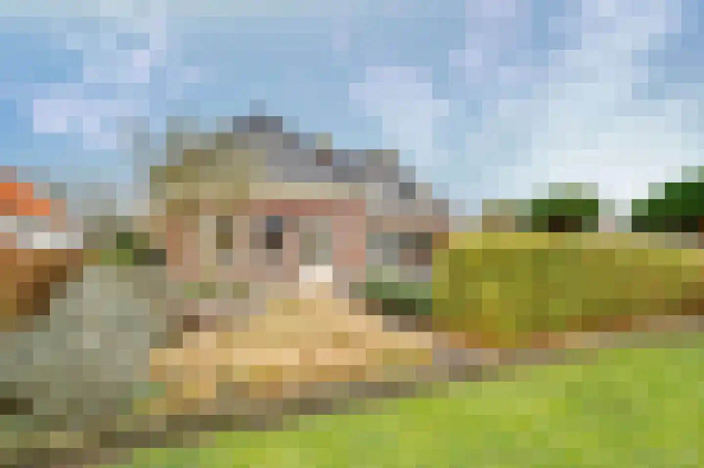 Molenweg 15 Oude-Tonge thumbnail 31