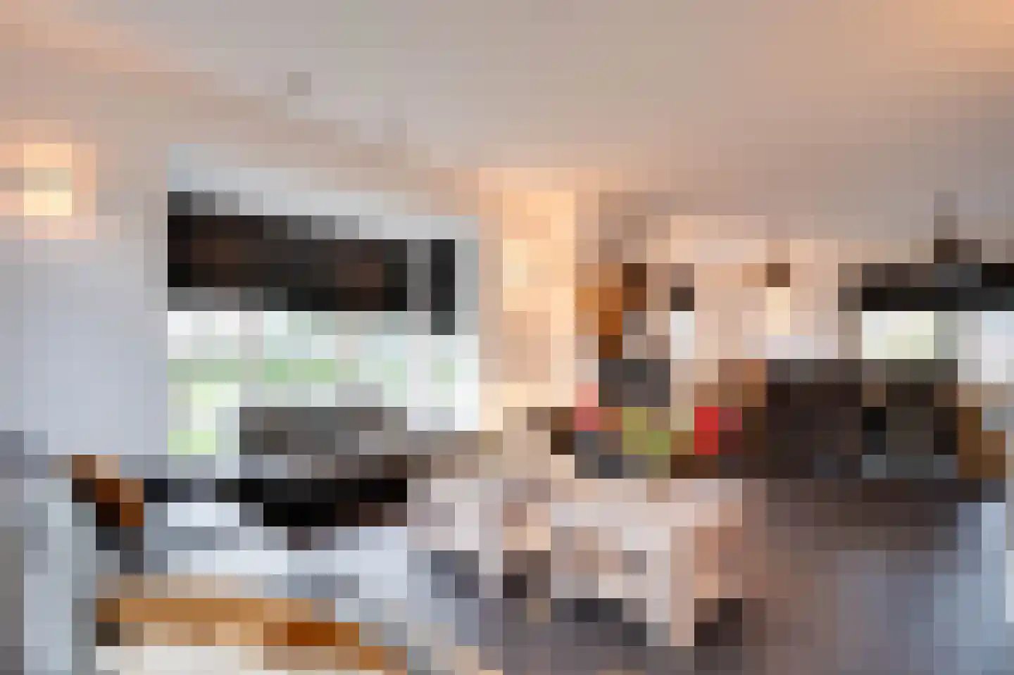 Molenweg 15 Oude-Tonge thumbnail 4