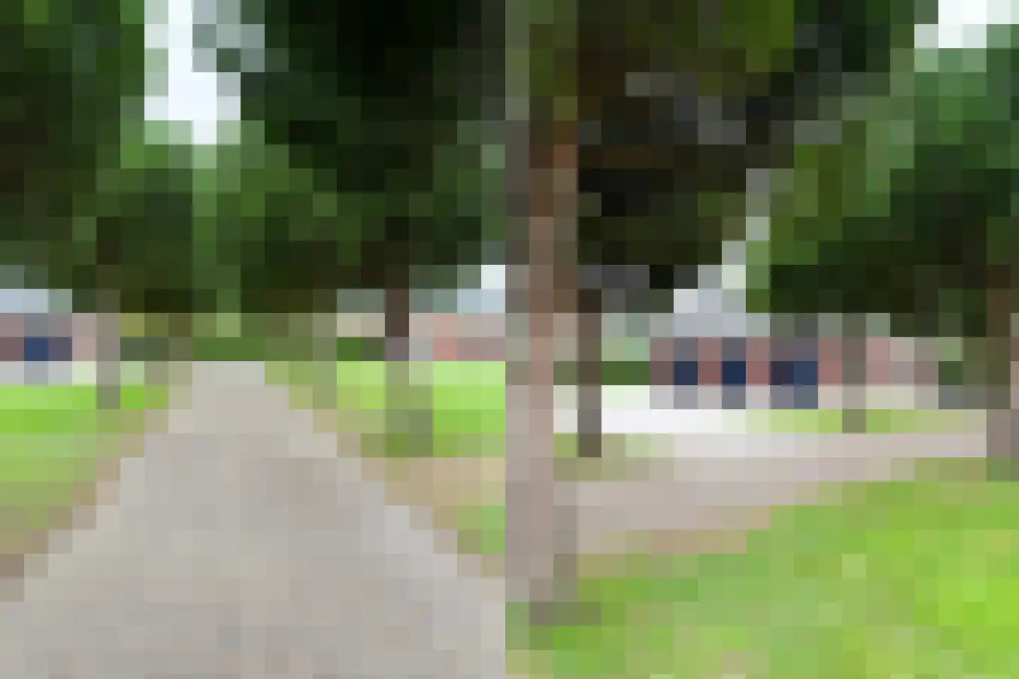 Molenweg 15 Oude-Tonge thumbnail 40