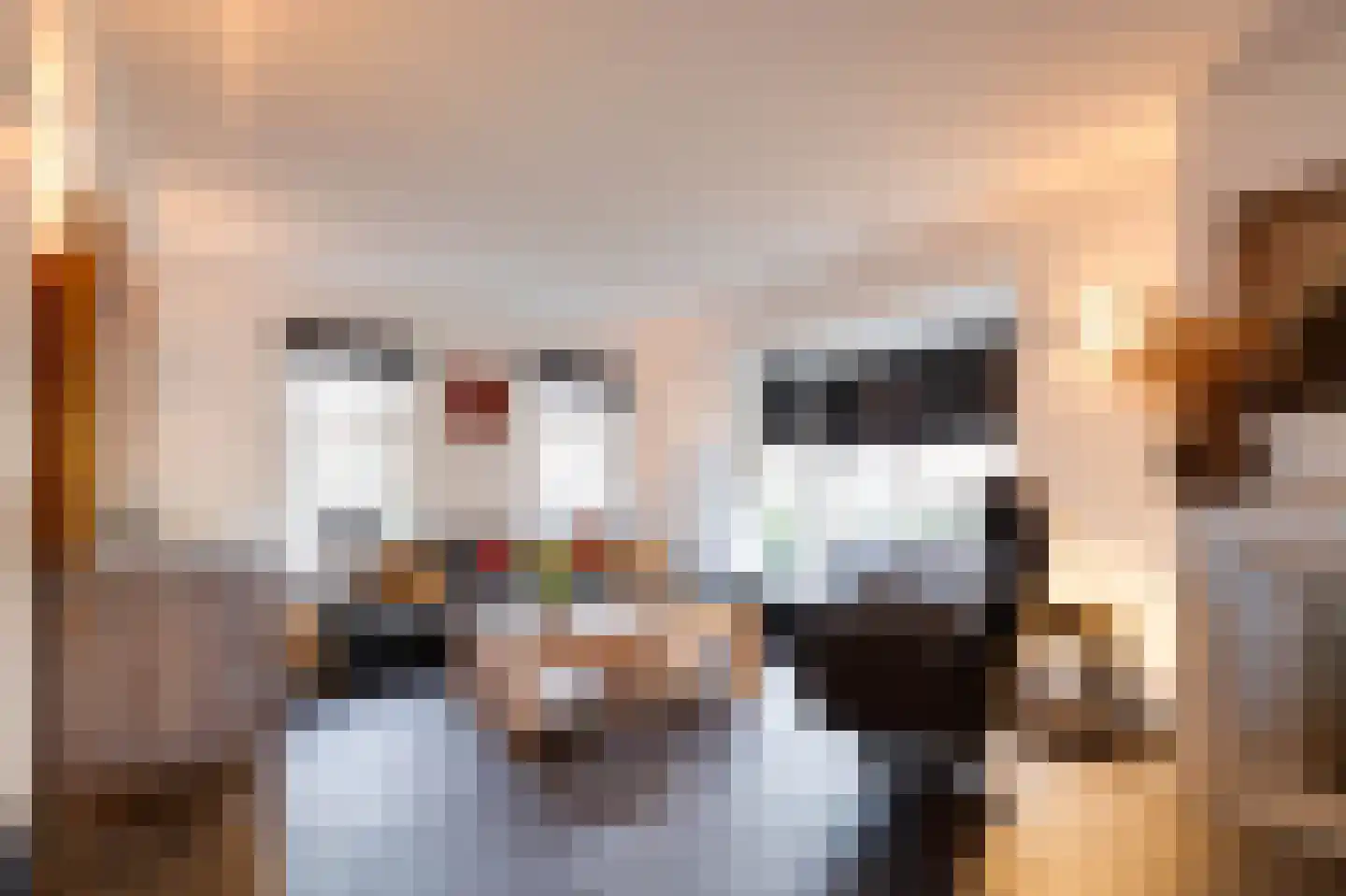 Molenweg 15 Oude-Tonge thumbnail 8