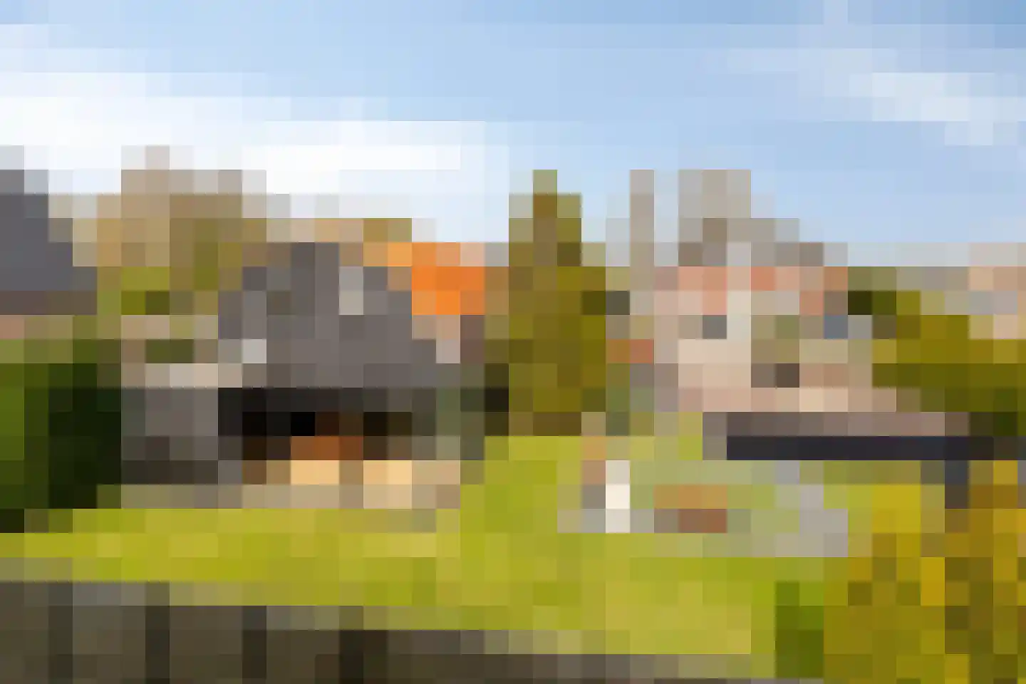 Molenweg 15 Oudenhoorn thumbnail 32